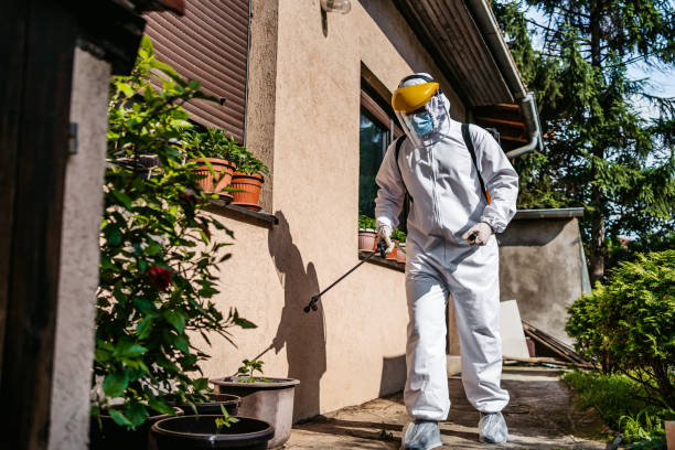 Best Pest Removal Services  in Falmouth Foreside, ME