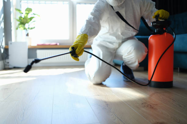 Best Termite Control Services  in Falmouth Foreside, ME