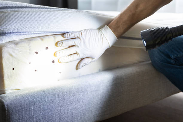 Best Best Pest Control Companies  in Falmouth Foreside, ME